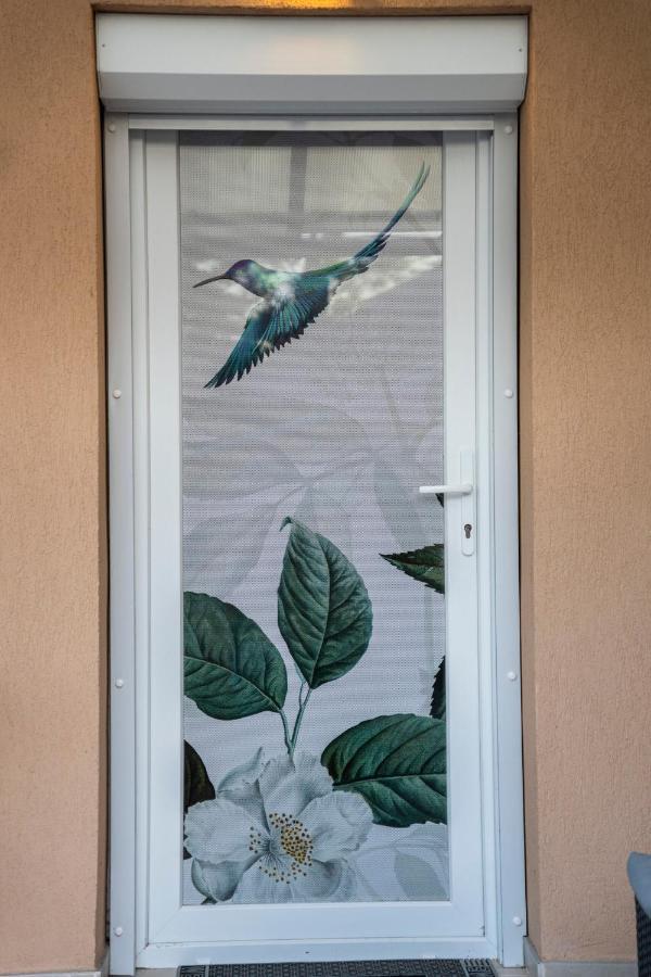 Kolibri Apartman - Makó Esterno foto